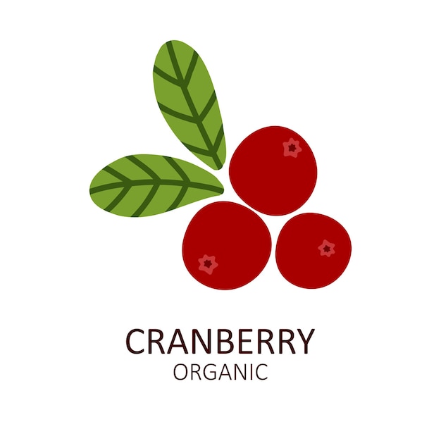 Cranberry logo Hand getekend wilde bessen Cartoon geïsoleerde vectorillustratie op witte achtergrondgeluid