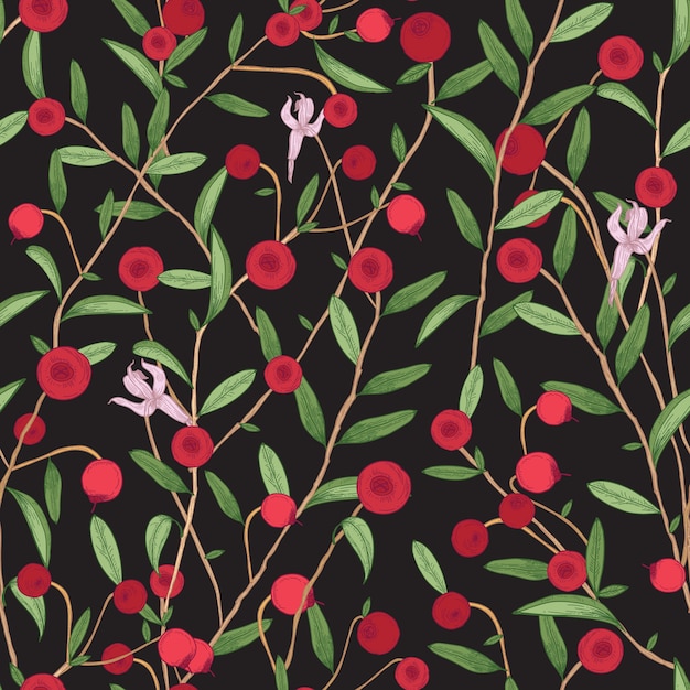 Cranberry seamless pattern