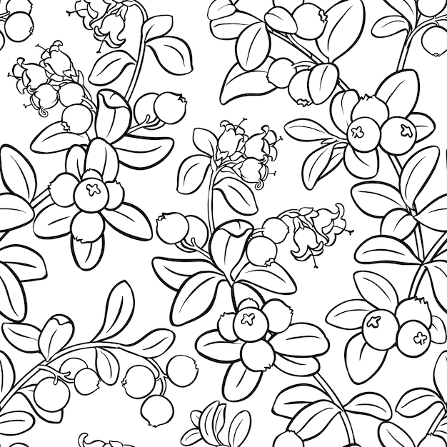 Cranberry seamless pattern