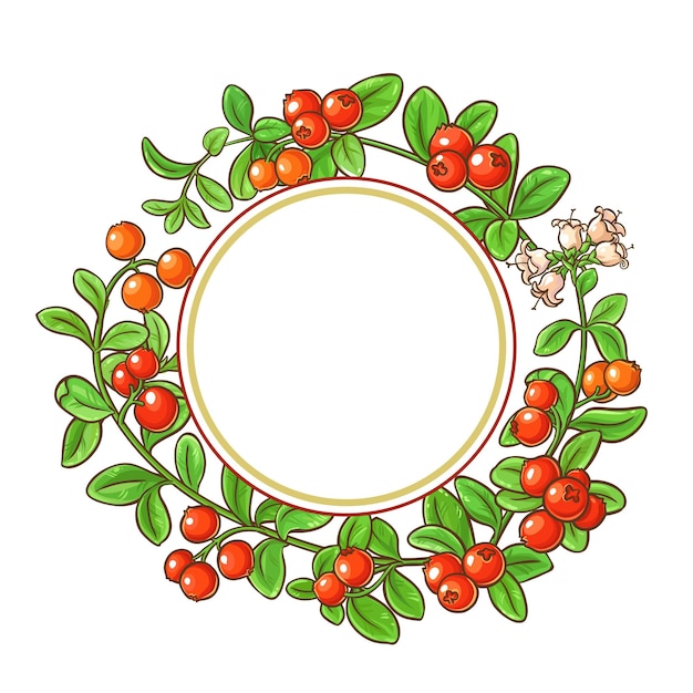cranberry tak vector frame op witte achtergrond