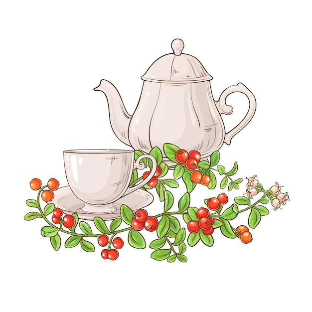 cranberry thee in de theepot illustratie op witte achtergrond