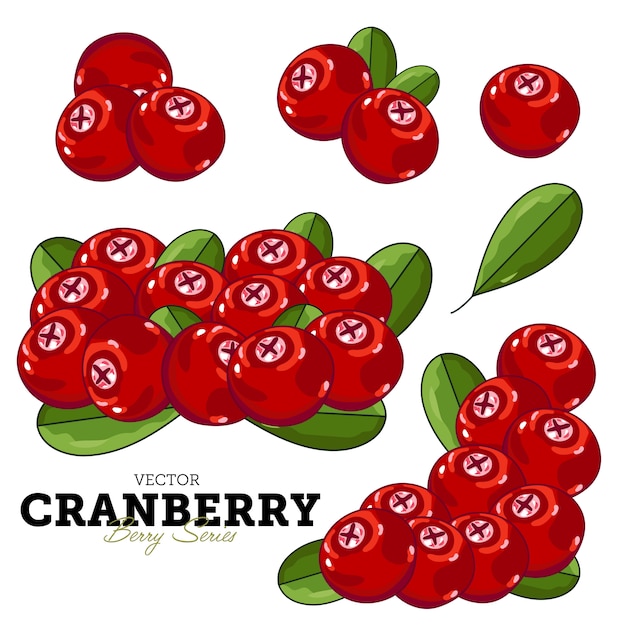 Cranberry with leaves on white background