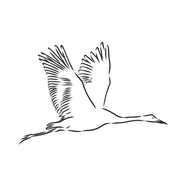 ベクトル ツル鳥のアイコン。鳥クレーンベクトルスケッチイラスト