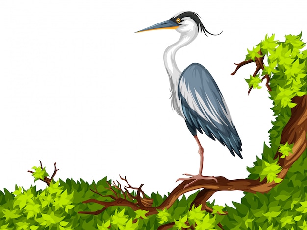 Crane standing on green branch