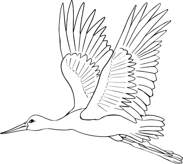 クレーン。手描きの鳥のベクター スケッチ。線形動物アート。