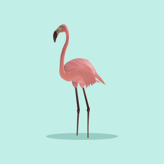 Cranes Bird vector art