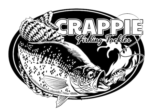 Vector crappie fishing shirt design badge in vintage style