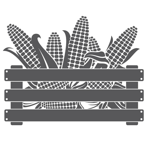 crate with corn cobs