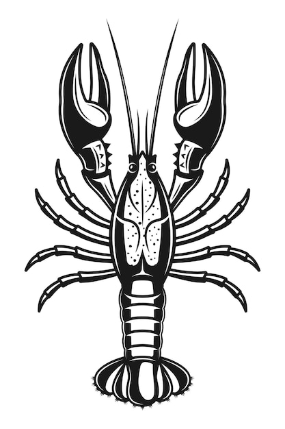 Crayfish detailed illustration in vintage monochrome style
