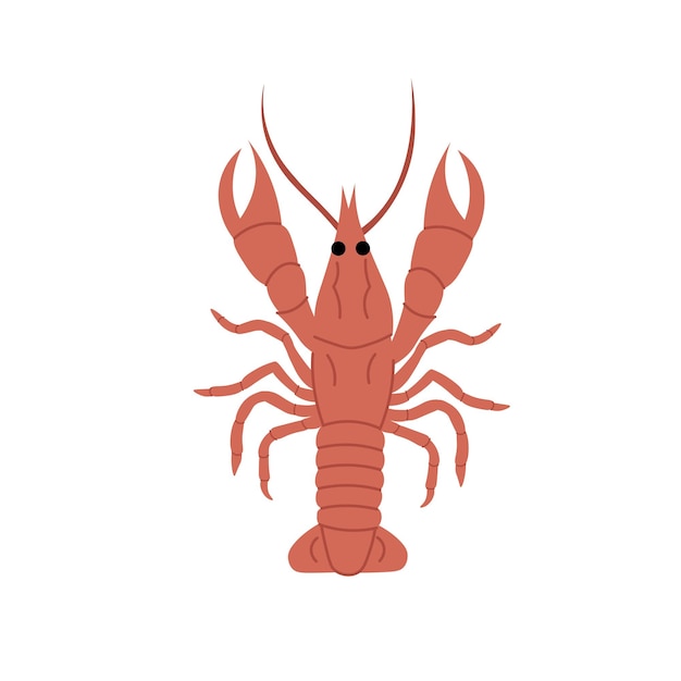 Vector crayfish in flat style on a white background emblem logo