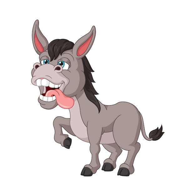 Crazy donkey cartoon on white background