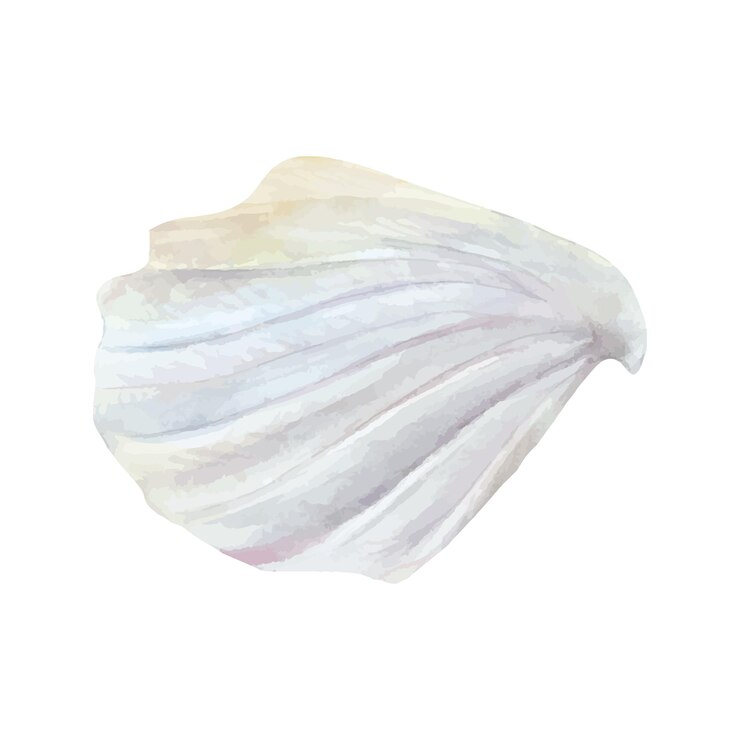 Vector cream meringue whipped watercolor drawing mousse foam topping bakery sweet tasty butter ice dessert