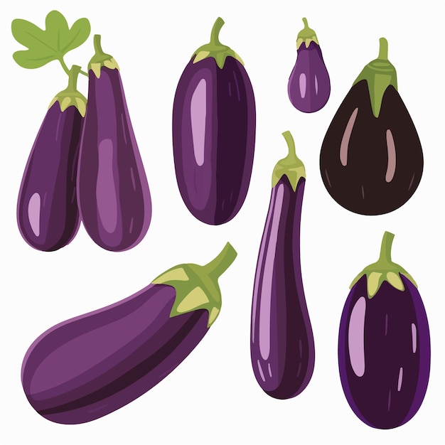 Create a beautiful design with these Eggplant vectors