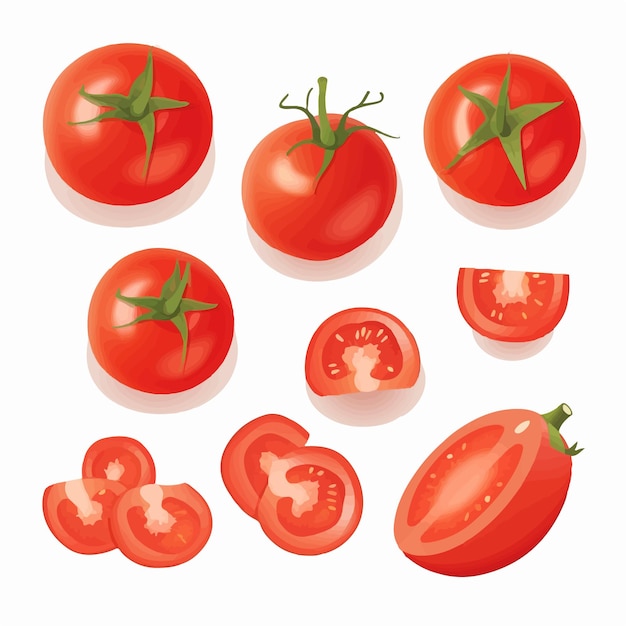 Create a delicious design with this pack of tomato vector graphics