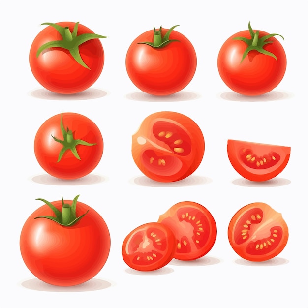 Create a farmtotable aesthetic with this pack of tomato vector graphics