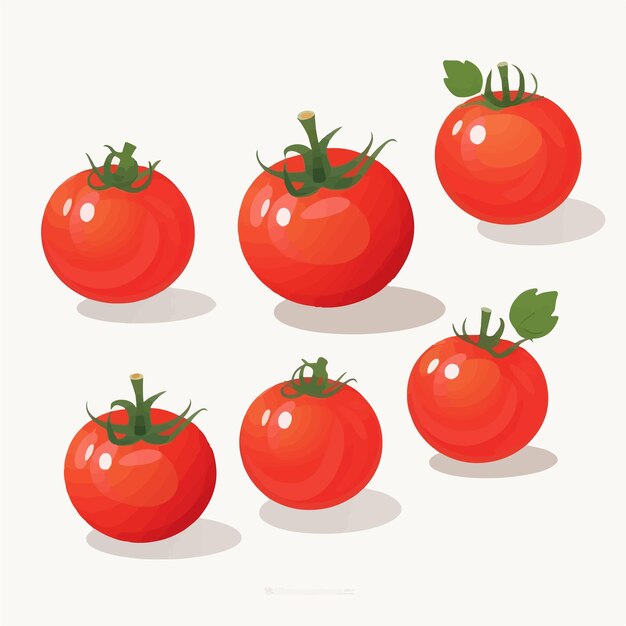 Create a fresh and appetizing design with this collection of tomato vector graphics