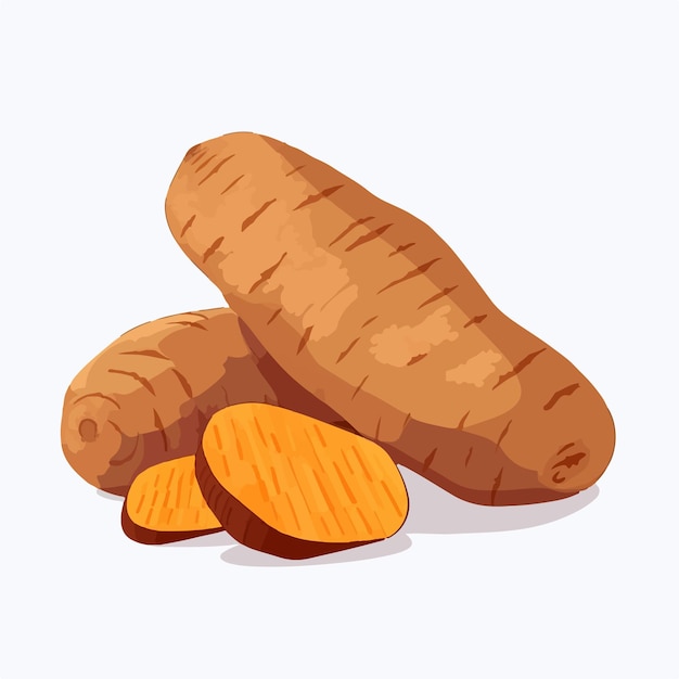 Create a warm and rustic atmosphere with this collection of yam vector graphics