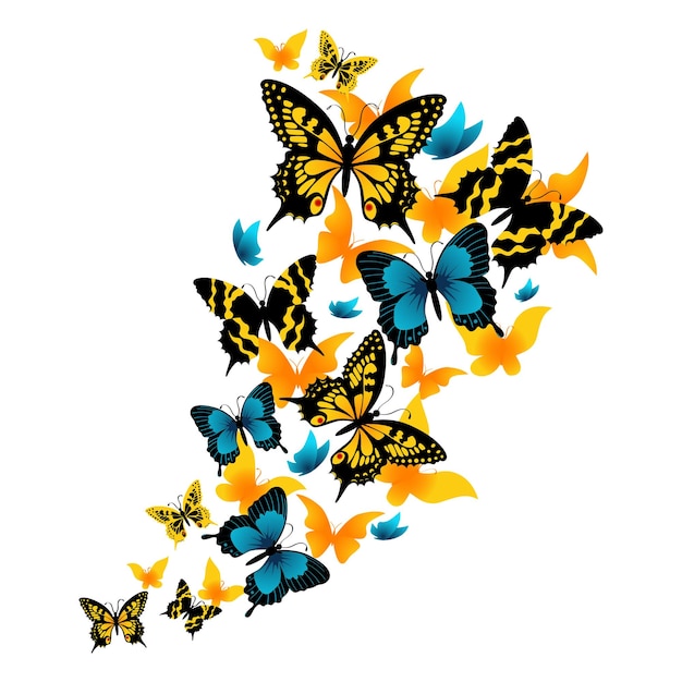 Creatief kleurrijk vlinders vector illustratie ontwerp 1