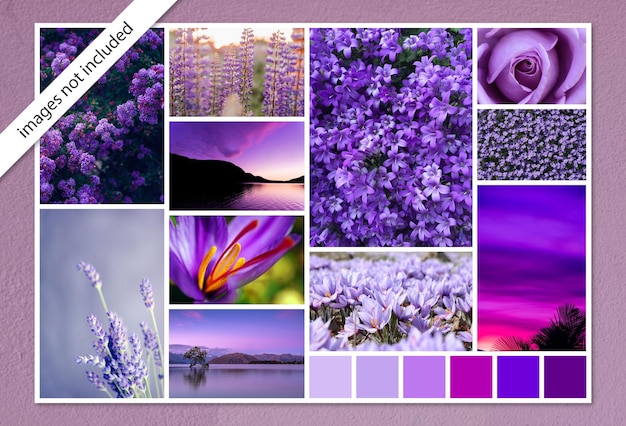Creatieve fotocollage Moodboard-sjabloon in paarse kleuren