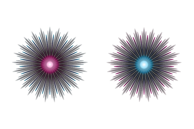 Vector creative flower circle design 2022