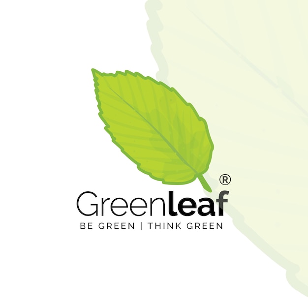 Creative green leaf logo