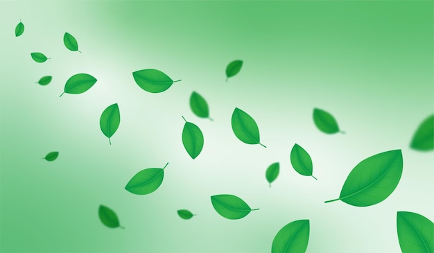 Vector creative illustration spring season green leafs background decorative vector illustration eps 10
