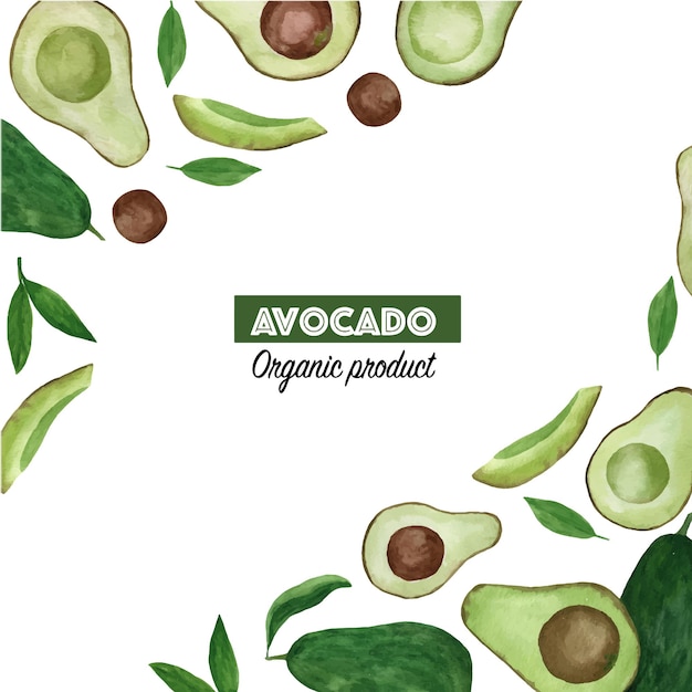 Vettore layout creativo realizzato con avocado ad acquerello