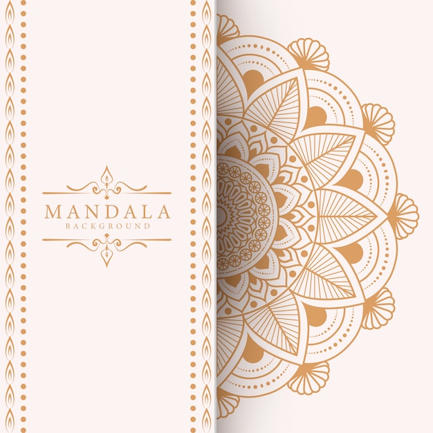 Vector creative luxury mandala background