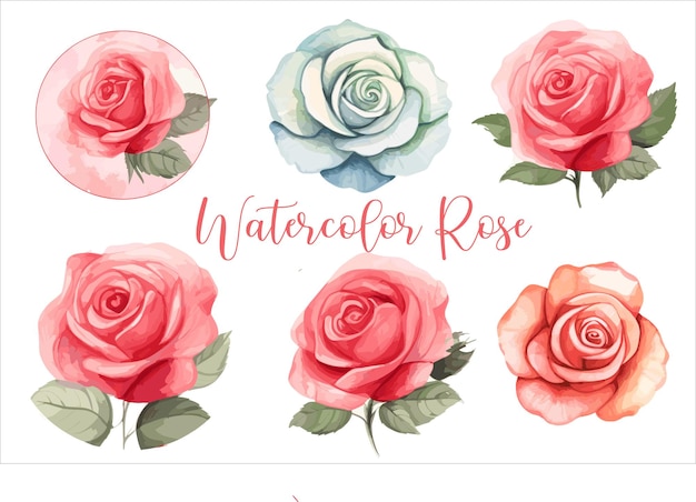 Vector creative new watercolor floral design