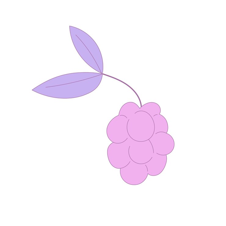 Vector creative raspberry with leaves