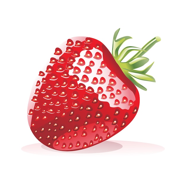 creative vector fruits illustration design 9