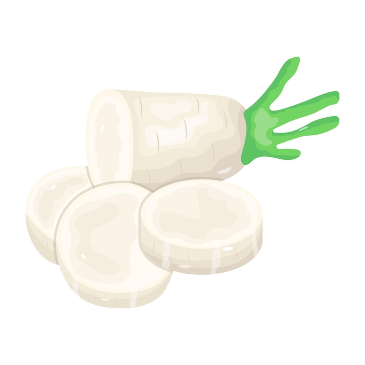 Vector creatively designed isometric icon of radish
