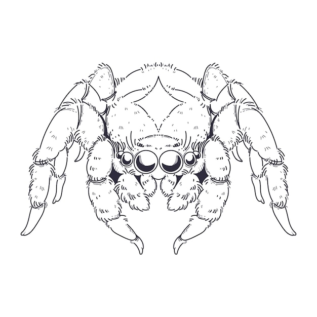 Жуткий нарисованный вручную паук с большими глазами