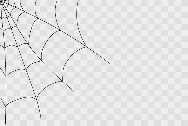 Vector creepy spiderweb