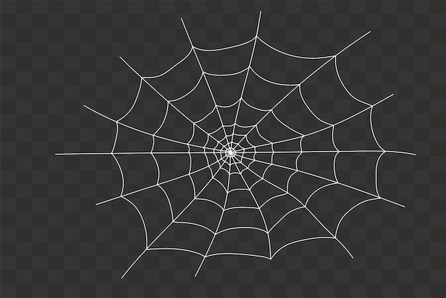 Vector creepy spiderweb