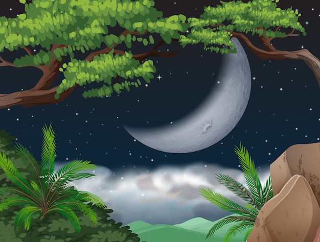 Cresent moon over jungle