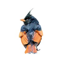 crested bunting bird vector illustration