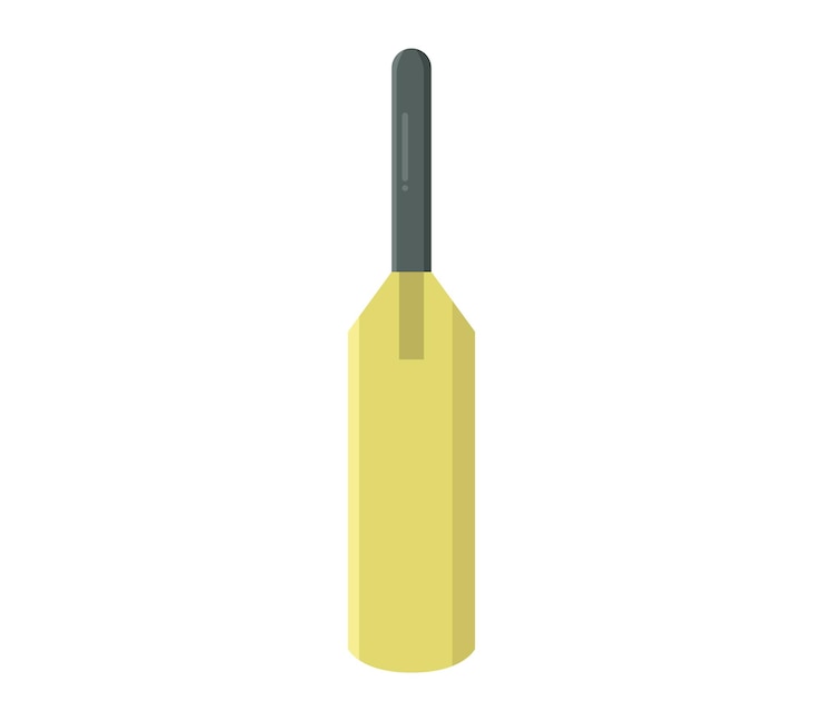 Vector クリケットのバット