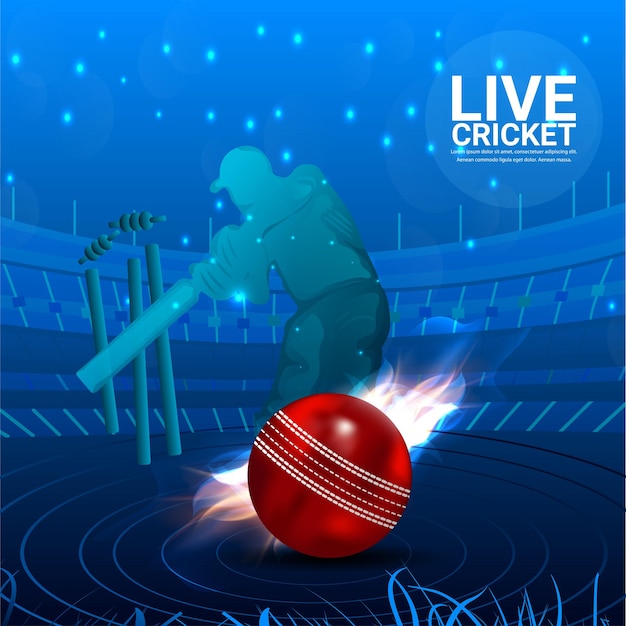 Vector cricket championship design concept with vector illustration