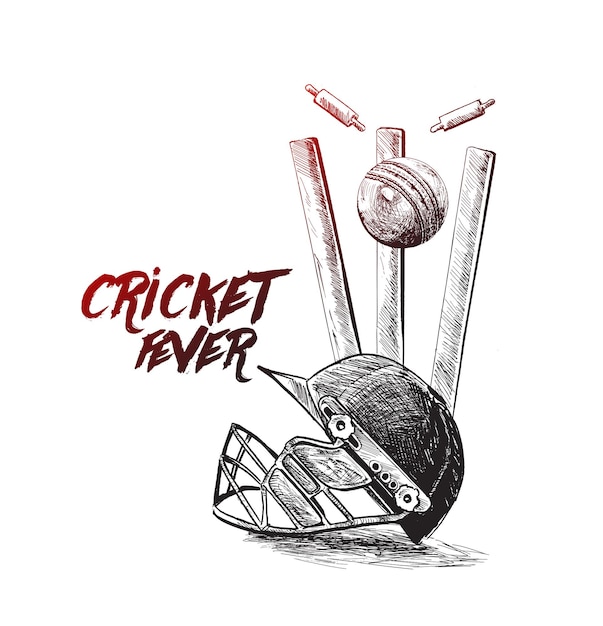 Cricket fever schizzo a mano libera graphic design illustrazione vettoriale