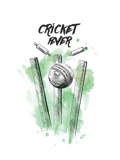 Cricket fever freehand sketch graphic design vector illustration