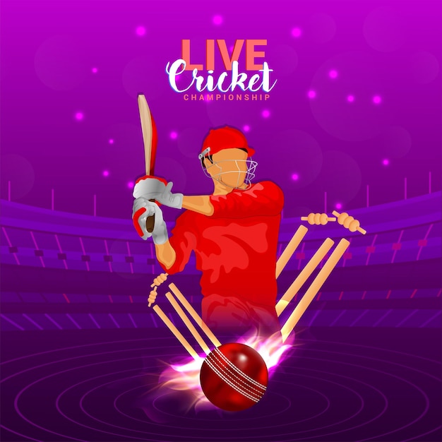 Vector cricket match concept with background