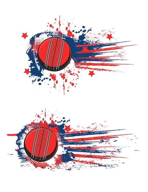 Vector cricket sport ball halftone splash banner flag