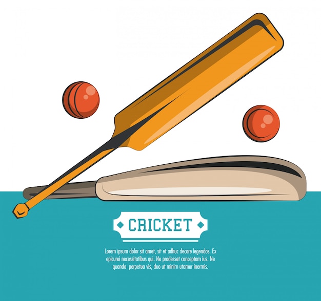 Cricket sport poster met informatie