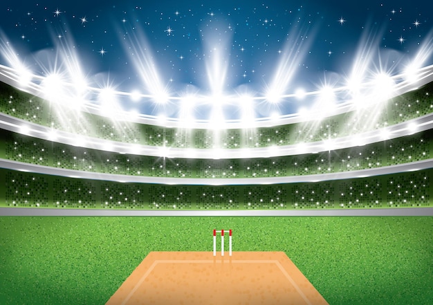 Vector cricket stadium with spotlights.