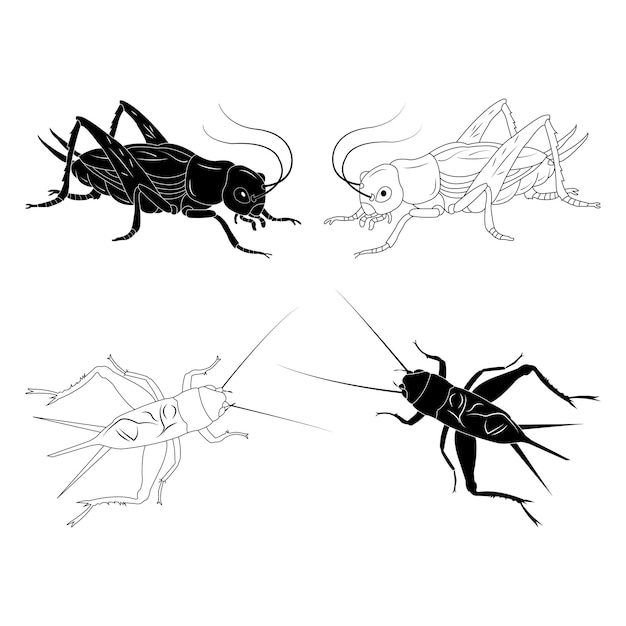 Vector cricket vector icon