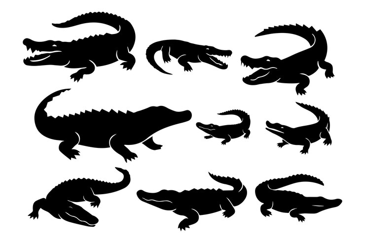 Vector crocodile amp alligator silhouette vector set wild animal icons