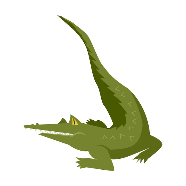 Crocodile cartoon style on white vector illustration