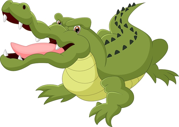 Vector crocodile cartoon on white background