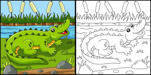 Crocodile coloring page vector illustration